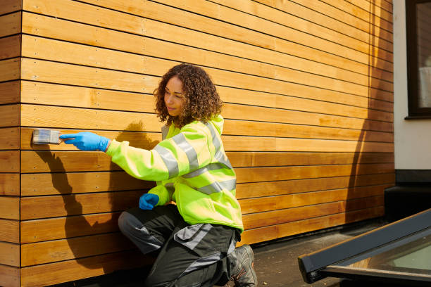 Best Storm Damage Siding Repair  in Day Heights, OH